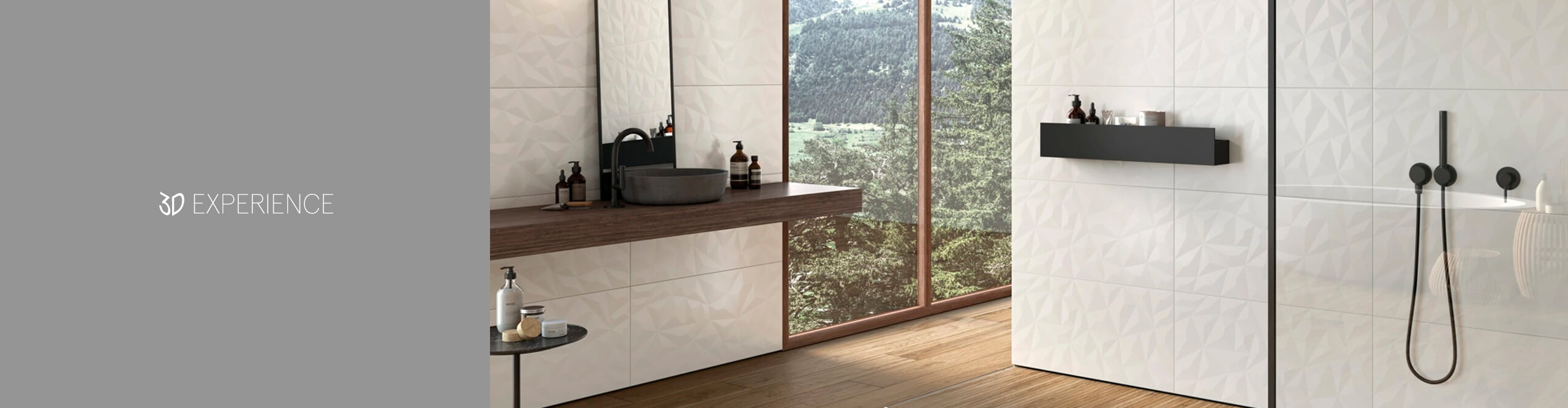 3D Экспириенс