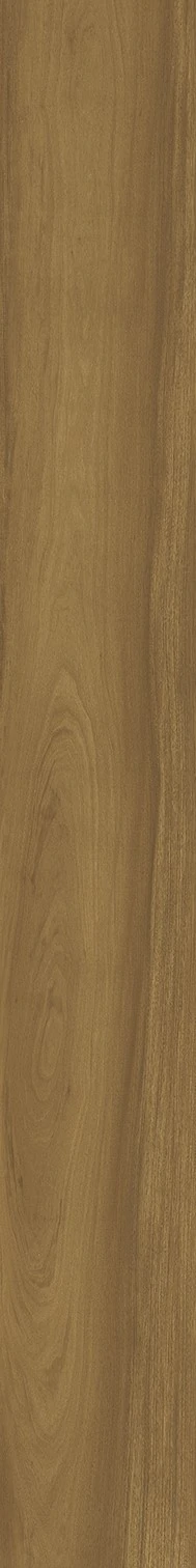 Палиссандро